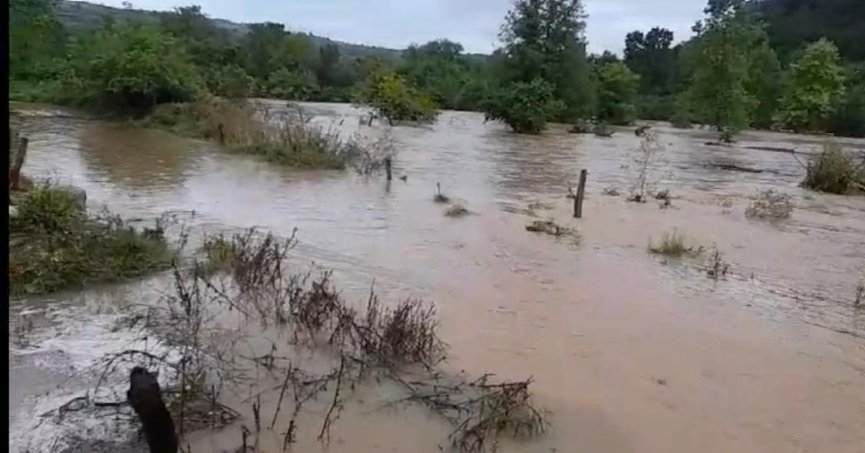 KANDIRA SELE TESLİM OLDU! 
