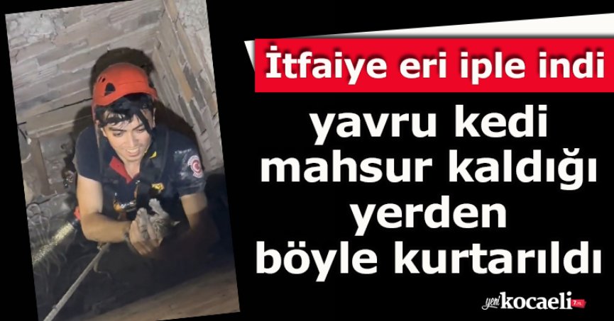 İtfaiye eri iple indi, yavru kedi mahsur kaldığı yerden böyle kurtarıldı