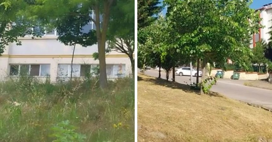  FATMA KAPLAN ZORLA DA OLSA SANA HİZMET YAPMAYI ÖĞRETECEĞİZ!