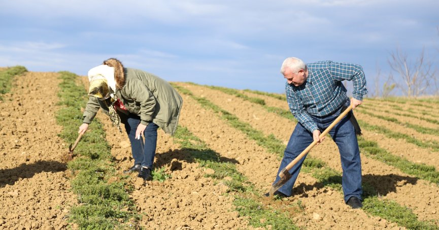 Cumhuriyetin 100. yılında 100 bin KO-MEK kursiyeri