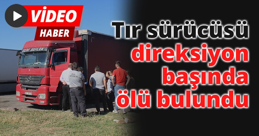 Tır sürücüsü direksiyon başında ölü bulundu