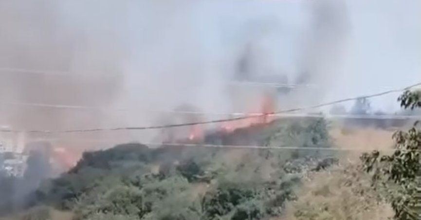 Otluk alanda çıkan yangın 20 dönüm alanı küle çevirdi