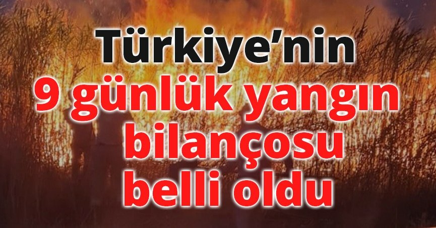 Türkiye’nin 9 günlük yangın bilançosu belli oldu