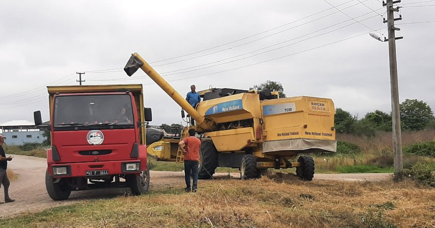 Atıl araziler ekildi, 780 kilo buğday elde edildi