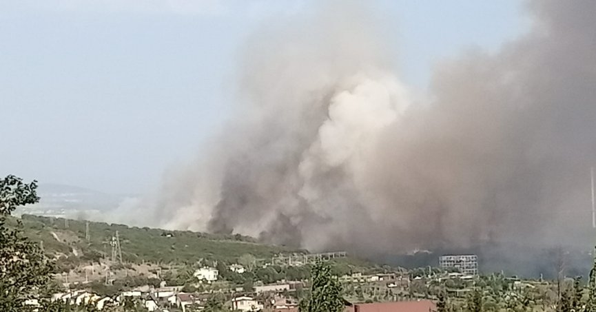 TÜBİTAK'ın ormanlık alanında yangın