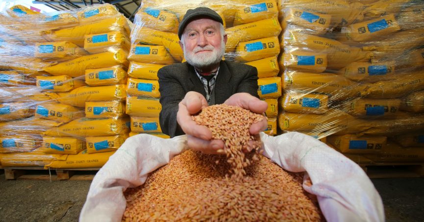 Büyükşehir’den çiftçilere tohum desteği