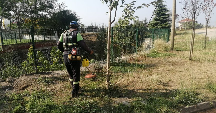 Körfez’de yabani otlarla mücadele sürüyor