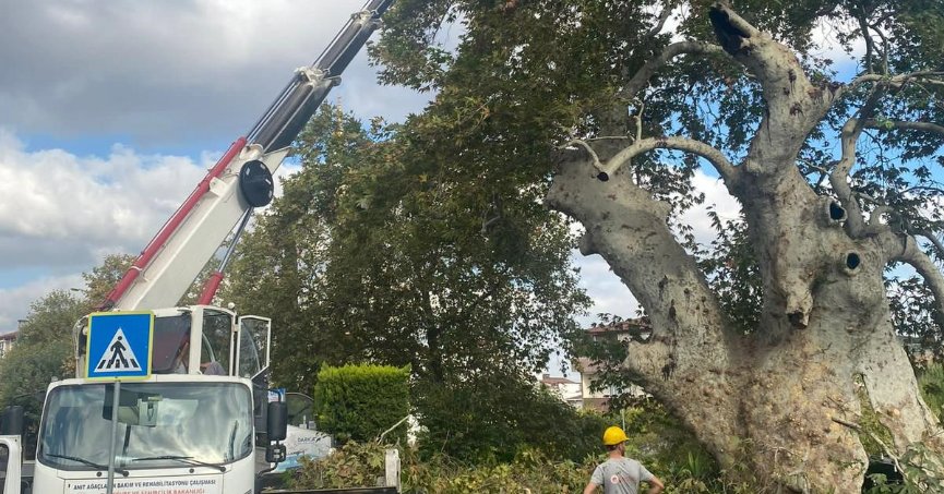 850 yıldır tarihe tanıklık ediyor