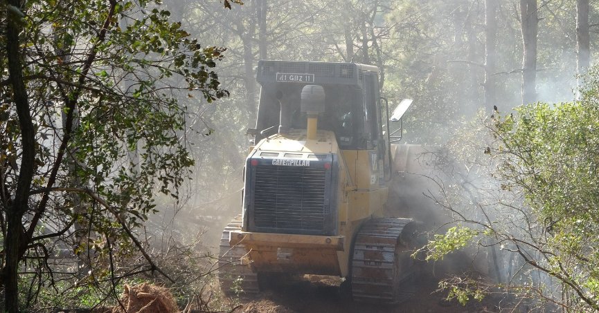 Kocaeli’de çıkan orman yangını söndürüldü