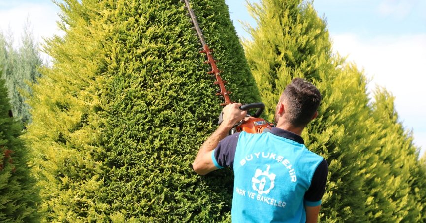 Park ve bahçelerde sonbahar budaması