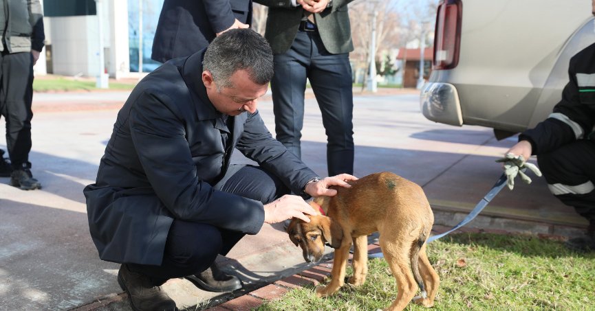 ”Hiçbir canlıyı incitmeyelim”