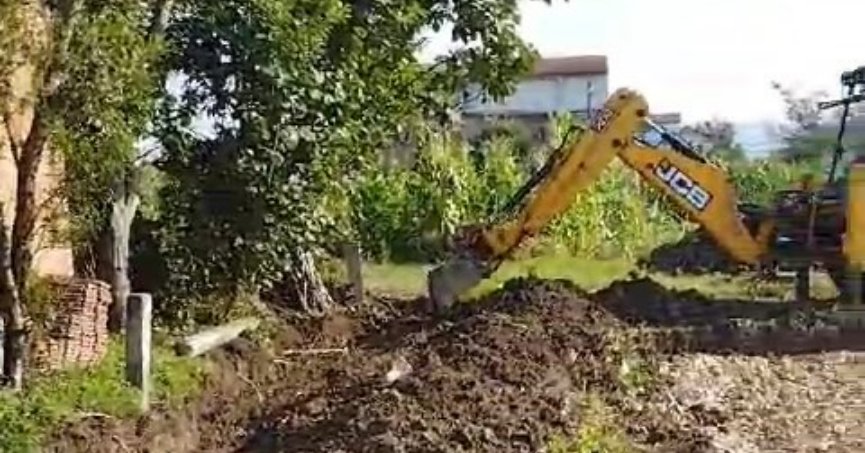 Armut çürük çıktı