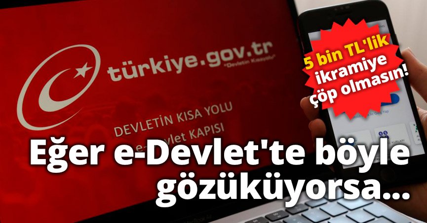 Eğer e-Devlet'te böyle gözüküyorsa...