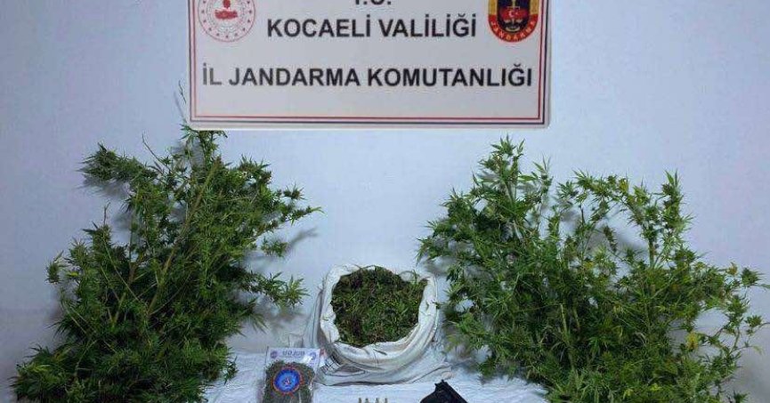 Kocaeli'de 3 ikamete uyuşturucu operasyonu