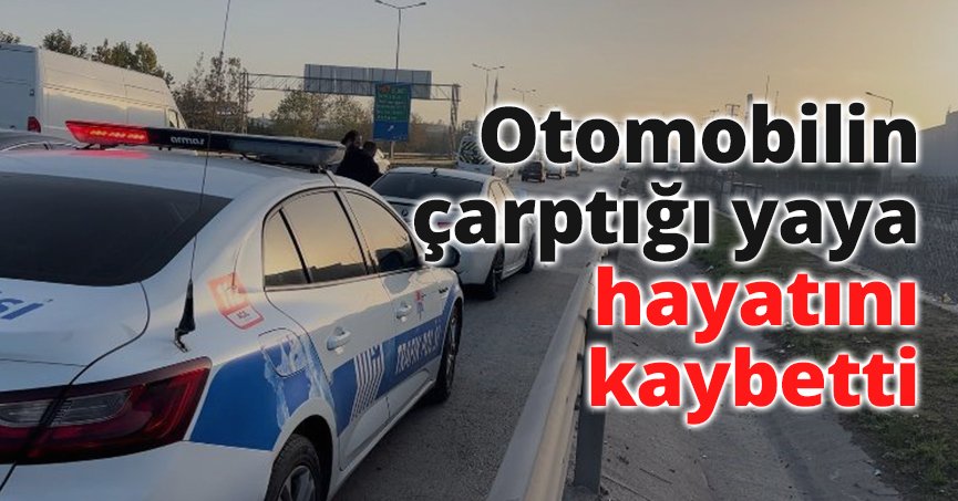Otomobilin çarptığı yaya hayatını kaybetti