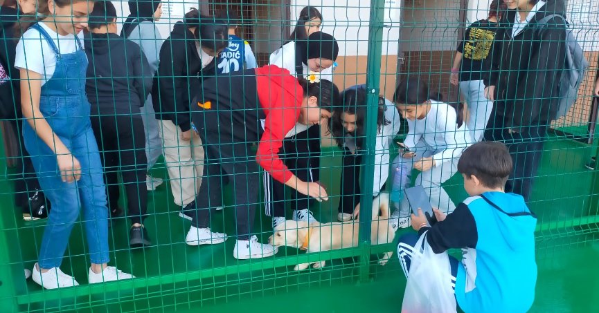 Bu merkez can dostlara 'şifa' oluyor