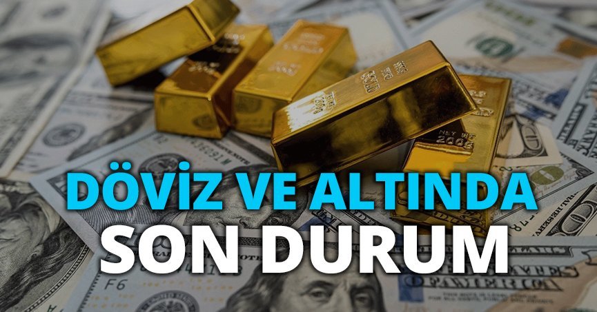DÖVİZ VE ALTINDA SON DURUM