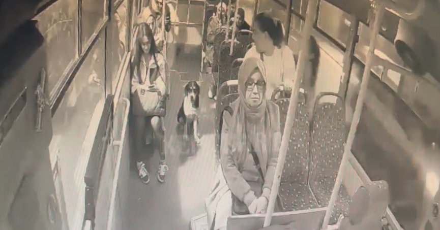 Bir anda bindi, dakikalarca yolculuk yaptı