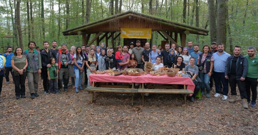 Ormanya’da mantar avı düzenlendi 