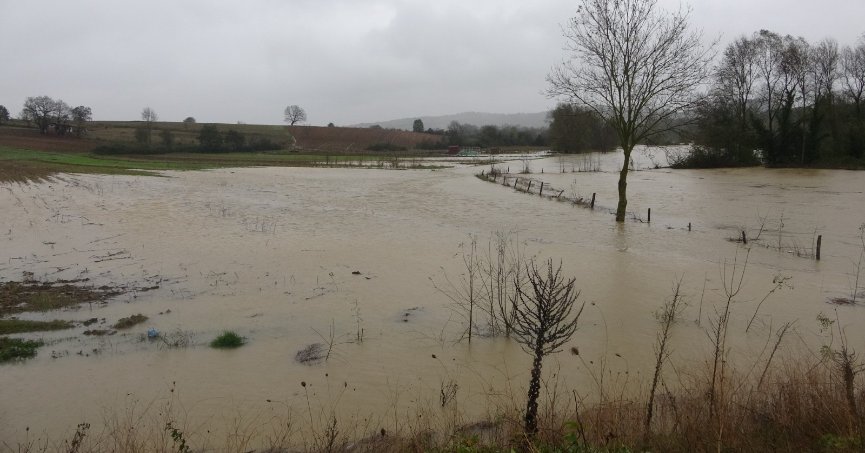 Kocaeli'de fırtınanın bilançosu: 25 su baskını, 26 ağaç devrilmesi ve 31 trafik kazası