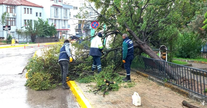 Derince´de Kar ve Fırtınayla Etkin Mücadele