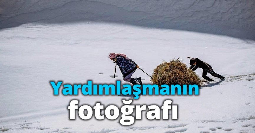 Yardımlaşmanın fotoğrafı