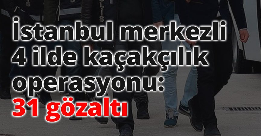 İstanbul merkezli 4 ilde kaçakçılık operasyonu: 31 gözaltı
