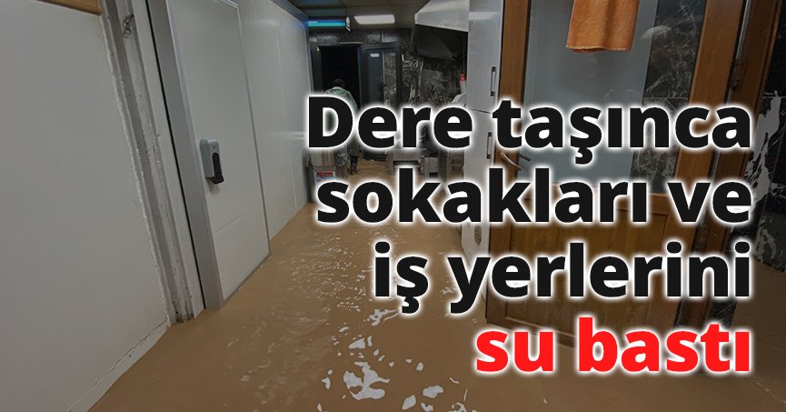 Dere taşınca sokakları ve iş yerlerini su bastı