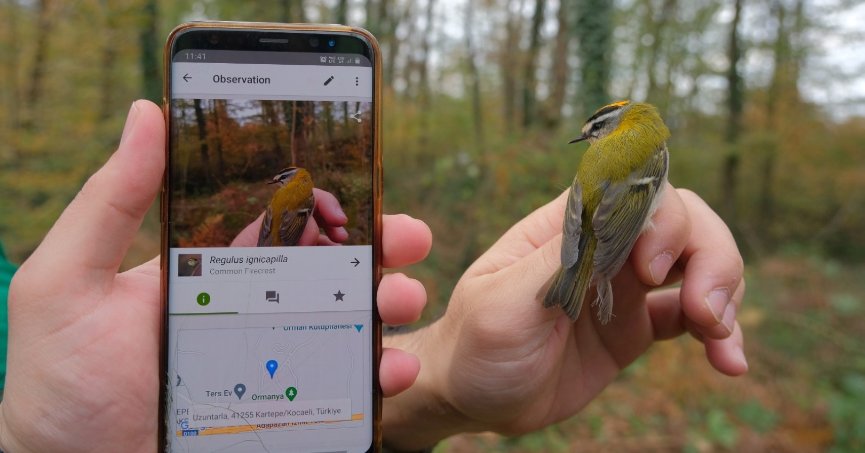 Ormanya'da yeni canlı türleri keşfedildi