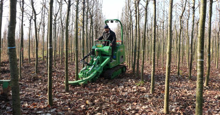 Büyükşehir’in yetiştirdiği on binlerce fidan kente nefes oluyor