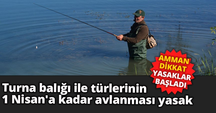 AMMAN DİKKAT YASAKLAR BAŞLADI 