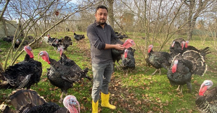 Bu hindiler çok meşhur