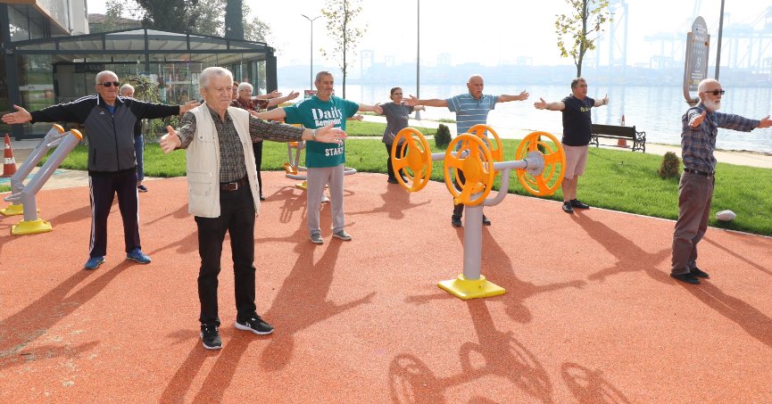 Çınarlarımız Büyükşehirle hayatın içinde