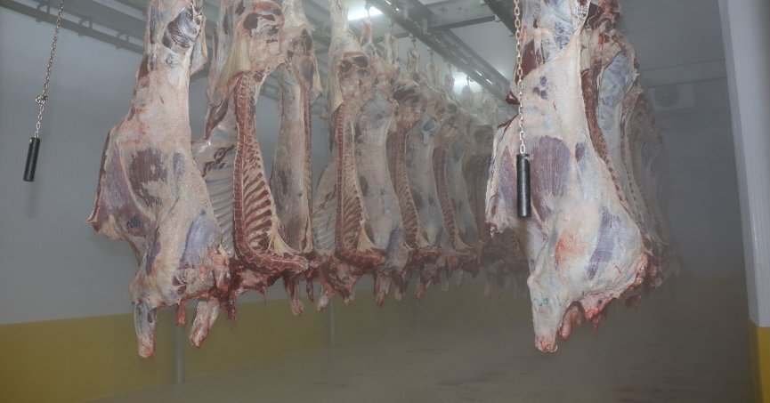 İnsan sağlığını koruyan teknoloji ile seri ve helal kesim