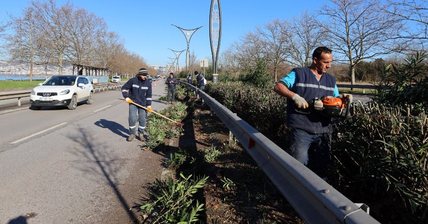 Ağaçlara kış bakımı 