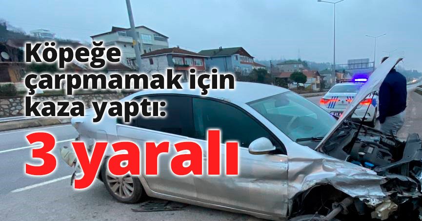 Köpeğe çarpmamak için kaza yaptı: 3 yaralı
