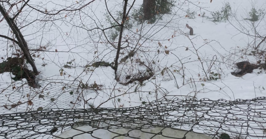 Kayak merkezinde acı son