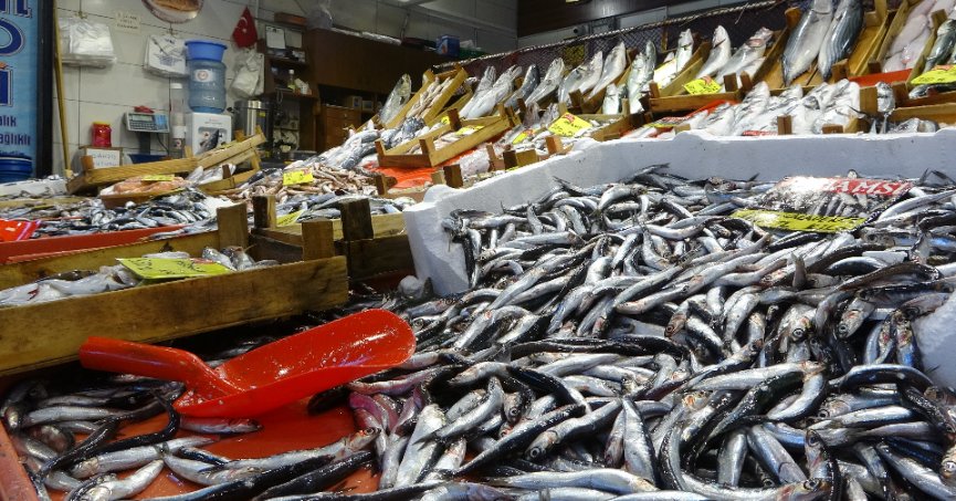 Hamsi 160 TL'ye satılırken, lüfer 360, turna mezgit 500 TL
