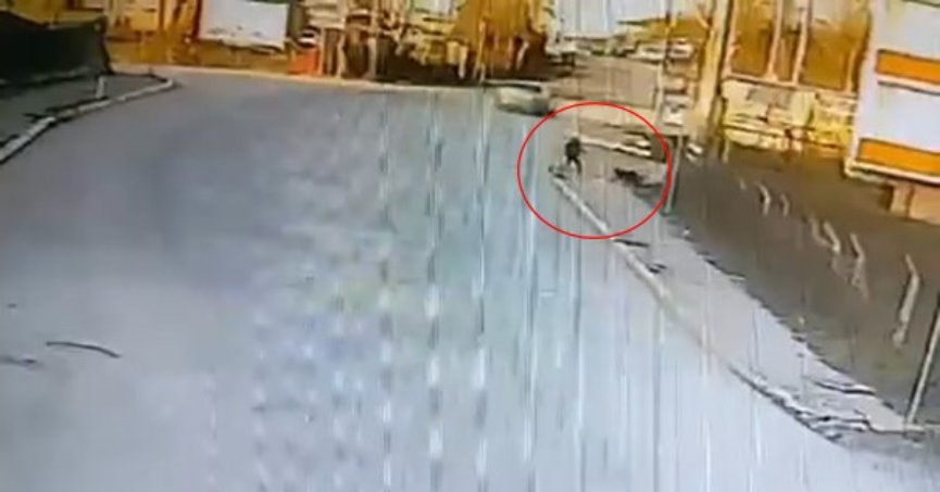 Kandıra'da okula giden çocuğa 2 köpek saldırdı