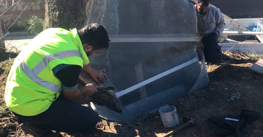 Büyükşehir’den 100 yıllık çınara tedavi