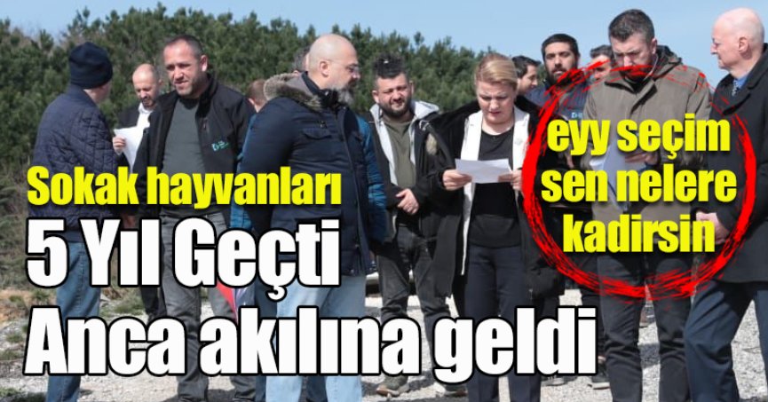 Ey Seçim Sen Nelere Kadirsin