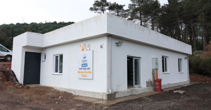 Sokak Hayvanları Mama Üretim Tesisi Açılıyor