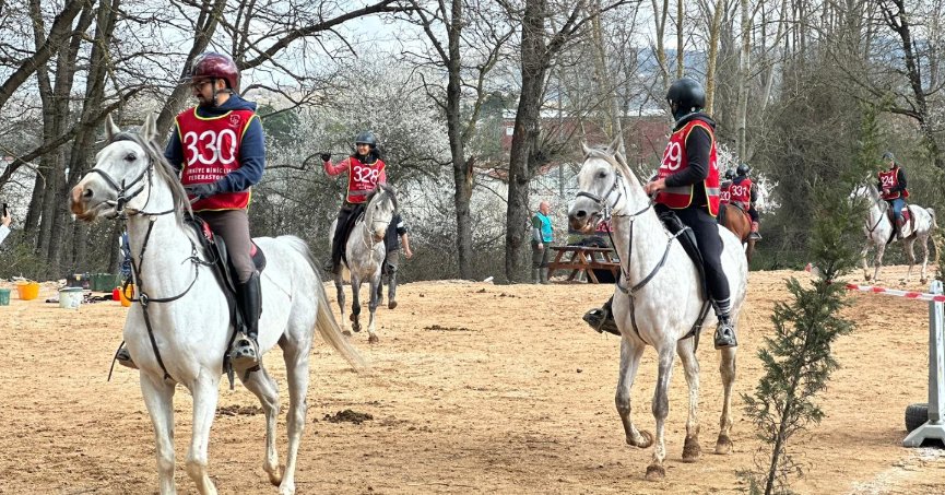 En dayanıklı atlar 120 km'lik parkurda yarıştı
