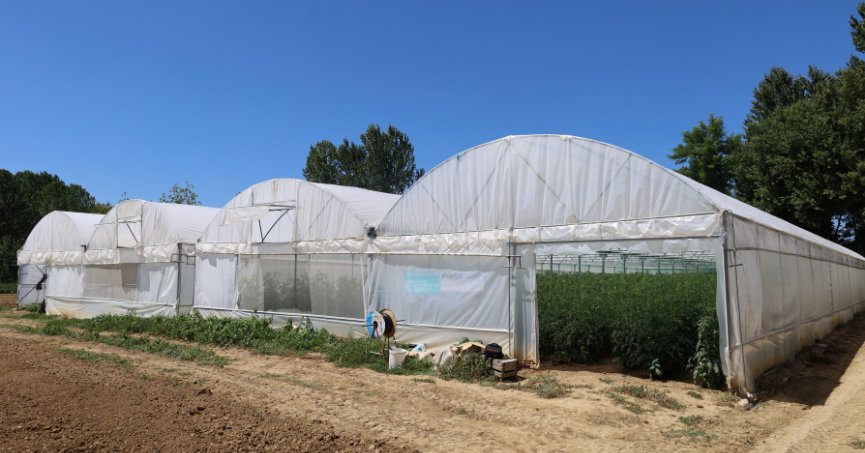 Büyükşehir’den yüzde 50 hibeli modern sera desteği