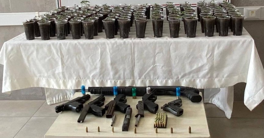 Evde yapılan operasyonda 580 kök kenevir bitkisi ele geçirildi
