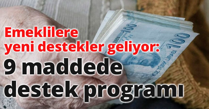 9 maddede destek programı