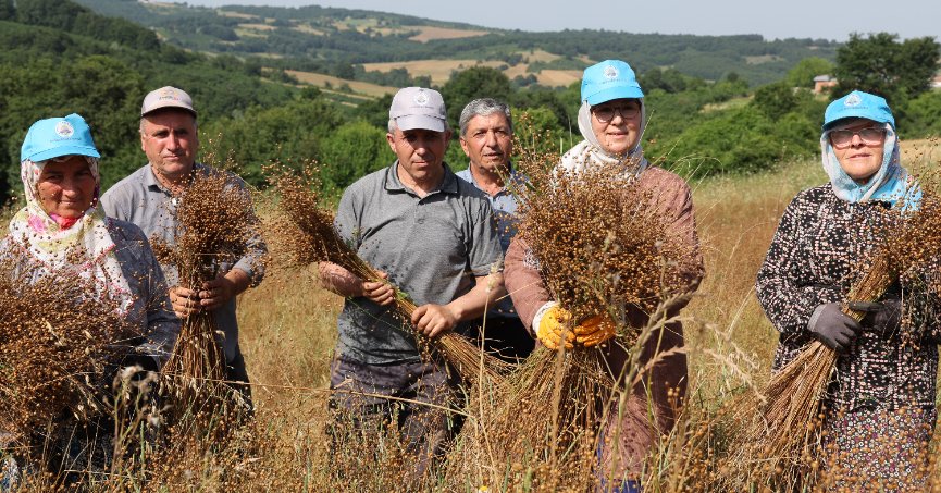 KANDIRA’DA KETEN YENİDEN HAYATA GEÇİRİLİYOR