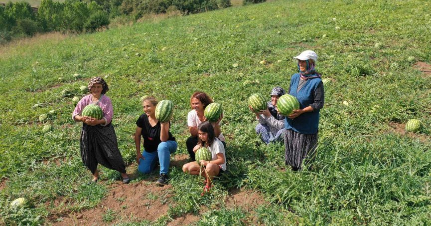 Üreticiler karpuz tohumlarını toprakla buluşturdu