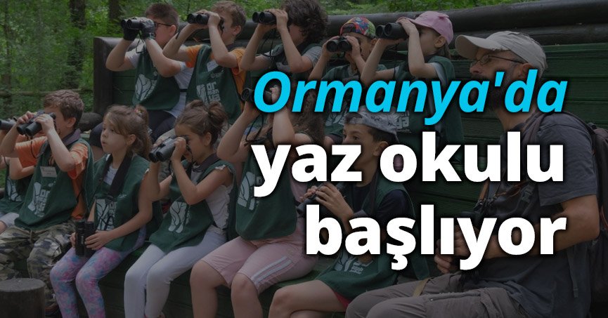 Ormanya'da yaz okulu başlıyor