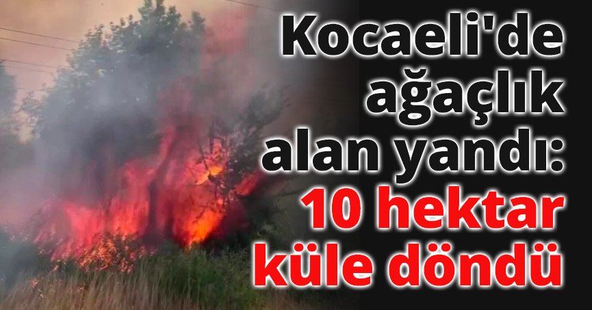 Kocaeli'de ağaçlık alan yandı: 10 hektar küle döndü